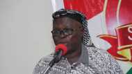 Why Kano deaths could be a plot to decimate Muslim population - MURIC