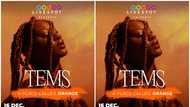 Grammy-nominated artist, Tems to headline novel concert at Livespot X festival