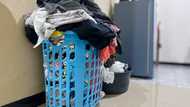 My husband bet he could run our home — One week later, I barely recognized it