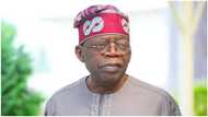 National Convention: He will be rewarded, Tinubu says as he visits APC chairmanship candidate