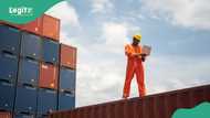 Again, CBN slashes exchange rate to clear goods at ports, airports from Monday