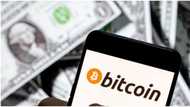 Investors gain $73.45 billion as bitcoin recovers amid price uncertainty