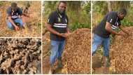 Handsome actor shows off his farm produce, many say he makes them want to go into farming