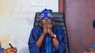 PEPC: Finally, president Tinubu, INEC, APC open defense at tribunal over alleged 2023 poll rigging