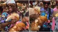 Yorubas do the most: Hilarious reactions as actor Alesh, other guests receive live chickens as party souvenir