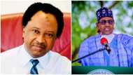 “Those who deserved their names on Maiduguri Airport”: Shehu Sani reveals 2 Nigerians ahead of Buhari