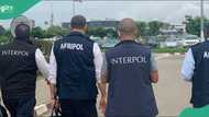 Interpol arrests 11 terror suspects in Nigeria after sweeping African operation
