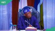 "Return all salaries fraudulently collected", Tinubu takes action against absentee civil servants