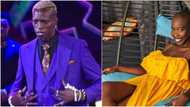 Now this is a ship I stan: Fans react as BBNaija's Hermes and Allysyn kiss passionately and make promises