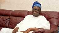 Meet Nigeria's minister who rose from being a messenger to CEO in 16 years