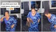 Nigerian mum wows people as she does the Warisi dance with a teddy bear, video leaves people gushing