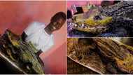 Nigerian man wows social media after baking crocodile cake, says he was directed by the holy spirit