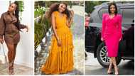 Wardrobe essentials for fashionistas: 7 must-have dresses for stylish women