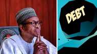"Nigeria has limited borrowing space": Budget Office warns of looming debt crisis