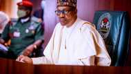 Insurgency: Buhari gets warm appreciation from middle belt group