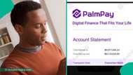 Palmpay customer who made over N3 million in 2024 shares account statement as spends over N3m