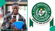 2025 JAMB results: Science student who scored less than 300 shows breakdown of his results