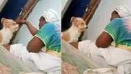 "You no dey hear word": Dog sits like humble servant as African mum scolds it in funny video, people react