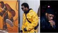 Wizkid, Olamide, 2Baba top list of 6 Nigerian music stars who dropped out of school to pursue their careers