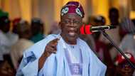 Trouble for Atiku, Peter Obi as Tinubu gets major backing ahead of 2023
