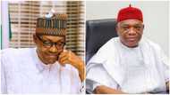 2023: Kalu recommends powerful consensus presidential candidate for Buhari