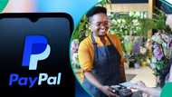 PayPal begins accepting international naira payment in Nigeria, but Nigerians have moved on