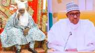 2023: Northern Emir hints on President Buhari's successor, roots for female presidency