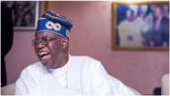 “The animal that claimed to be the lion has ran out of the jungle” Nigerians are asking of Tinubu’s whereabout