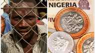 "Currency abuse": Man sent to prison for selling jewellery made from 5kobo, N1, and N2 Coins