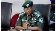 "Declare suspended Adamawa REC wanted". Ezenwa tells IGP Alkali