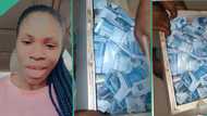 "It is not up to N700k": Lady and her husband breaks piggy bank, shows plenty money in viral video