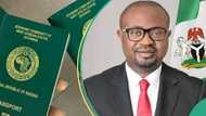 “No more long queues”: Nigerians abroad can now apply for passports from home, details emerge