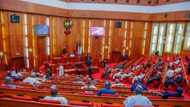 Senate suspends plenary over demise of popular lawmaker as senator Ndume losses father