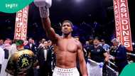 Anthony Joshua: Reason driver may face prosecution as boxer suffers leg fracture emerges