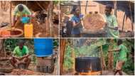 Young student in his 20s inspires many with his hustle as palm oil producer