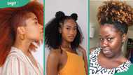 50 Latest female hairstyles for curly natural hair in 2025