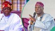 “Already started explaining himself”: Tinubu’s aide reacts to different names on Atiku’s WAEC result