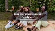 180+ good morning messages for friends to wish them a great day ahead