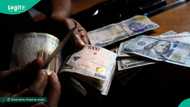 Why naira is depreciating against US dollar again as markets exchange rate gap widens to N46
