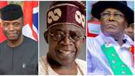Video digest: Osinbajo, Atiku, Tinubu: Nigerians speak on who becomes next president