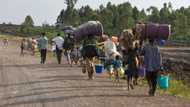 2,000 Borno residents flee to Yobe state over intense Boko Haram attacks