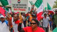 NLC/TUC strike: Man shares what labour union should do instead, generates buzz