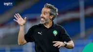 "Super Falcons are going down": Morocco coach targets historic win vs Nigeria in WAFCON final, video