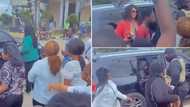 "Who dey breathe?" Nigerian 'slay queen' arrives her graduation in expensive convoy, students scream in viral video