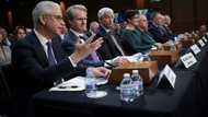 Big US banks balk at new capital rules in Senate hearing