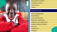 WAEC 2024: Nigerian man shares photo of his female niece result who got 5 A1s, passes all subjects