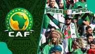 AFCON 2025: Algeria demands one serious action from CAF after defeat to Super Eagles