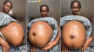 "7 babies dey inside that belle": Nigerian woman displays huge baby bump, video causes buzz