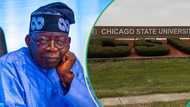 Chicago University Saga: Tinubu's lawyer explains gender error in president's certificate