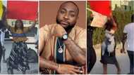 “Baddest it’s March already”: Fans carry placards, protest for Davido’s return to social life, videos trend